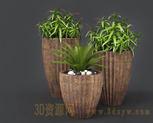 现代盆栽植物摆设品